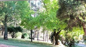 Eemnes Park Estate - Sunshine Coast Tourism 6