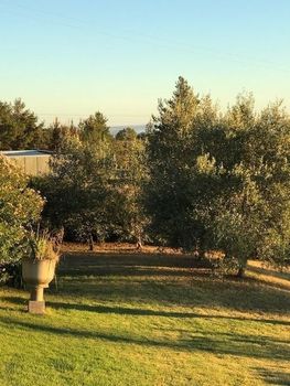 Eemnes Park Estate - Sunshine Coast Tourism 4