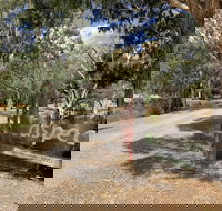 Bushland - Sunshine Coast Tourism