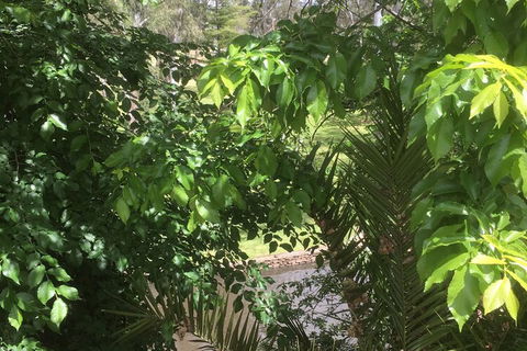 Central Wangaratta Motel - Holiday Sunshine Coast 3