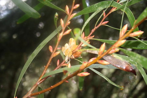 Heavenly Retreat - Sunshine Coast Tourism 5