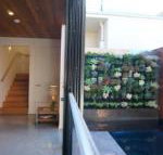 Stella on Stevens - Sunshine Coast Tourism