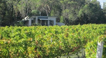Just Red Wines Vineyard Cabins - Holiday Sunshine Coast 3