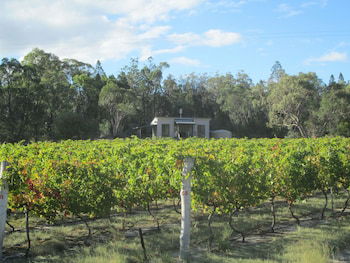 Just Red Wines Vineyard Cabins - Holiday Sunshine Coast 5