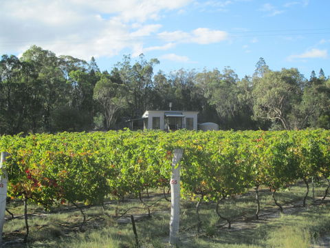 Just Red Wines Vineyard Cabins - Holiday Sunshine Coast 6