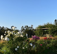 Labertouche Gypsy Creek Winery - Sunshine Coast Tourism