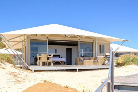 Discovery Rottnest Island - Holiday Sunshine Coast 4