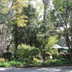 Two Sisters Chalets - Sunshine Coast Tourism 1