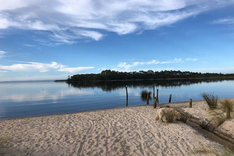 The Boathouse - Sunshine Coast Tourism 6