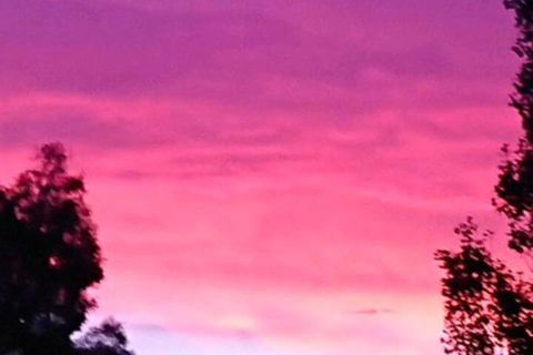 Abelia BIG SPA NO 1 Cottage - Holiday Sunshine Coast 6