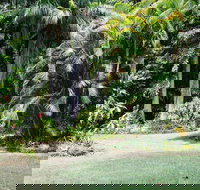 Sanctuary in The Pocket - Sunshine Coast Tourism