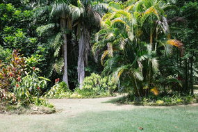 Book The Pocket Accommodation Vacations Sunshine Coast Tourism Sunshine Coast Tourism