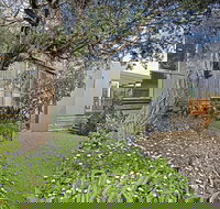 Beach Pearl - Sunshine Coast Tourism