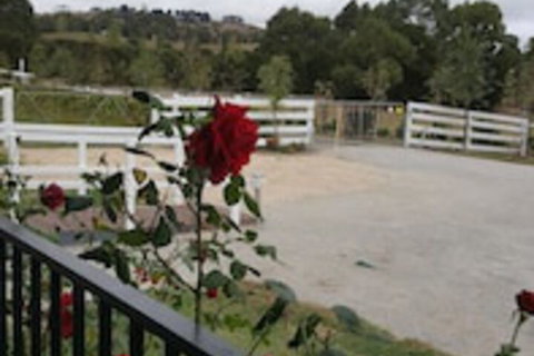 Silverbirch Cottage Loch - Holiday Sunshine Coast 0