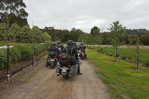 Silverbirch Cottage Loch - Holiday Sunshine Coast 4