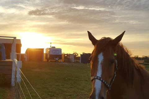 Silverbirch Cottage Loch - Holiday Sunshine Coast 1