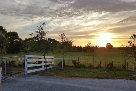 Silverbirch Cottage Loch - Holiday Sunshine Coast 2