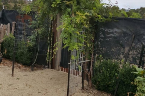 Silverbirch Cottage Loch - Holiday Sunshine Coast 6