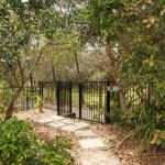 15 Joanne Street Marcoola - Holiday Sunshine Coast 0