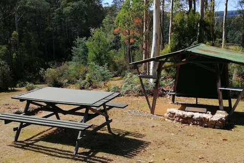 Minnow Cabins - Sunshine Coast Tourism 6