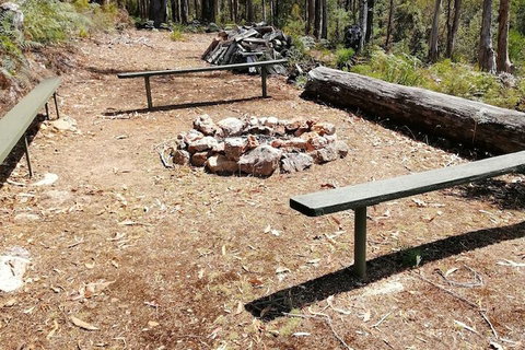 Minnow Cabins - Sunshine Coast Tourism 5