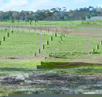 Yea Woodduck Cottage - Sunshine Coast Tourism