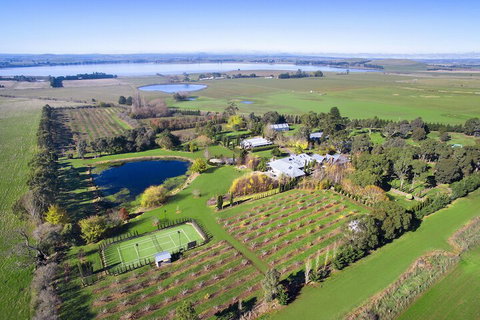 Orchards At Spring Vale Farm - Sunshine Coast Tourism 1