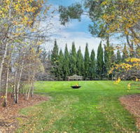 Orchards at Spring Vale Farm - Holiday Sunshine Coast