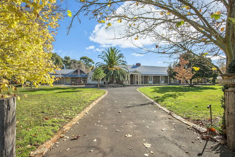 Orchards At Spring Vale Farm - Sunshine Coast Tourism 2