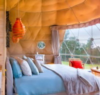 Domescapes in the Vines - Sunshine Coast Tourism