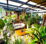 Jaspers Apartments - Sunshine Coast Tourism