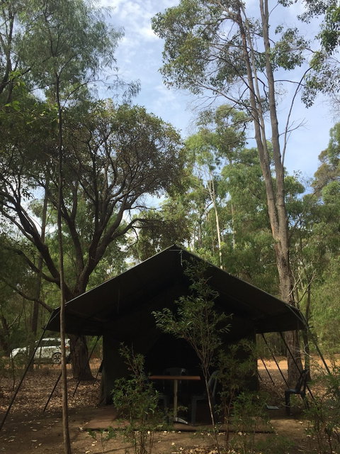 RAC Margaret River Nature Park - Holiday Sunshine Coast 2