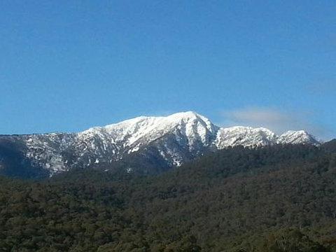 Alps Lodge - Sunshine Coast Tourism 4