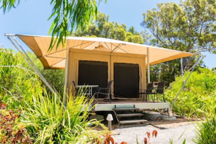 Bulwer QLD Sunshine Coast Tourism