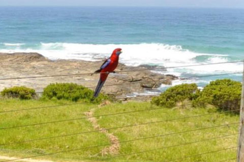 14 Steps - Sunshine Coast Tourism 5