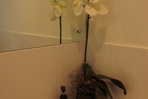 Sanctuary In The Valley - Sunshine Coast Tourism 4