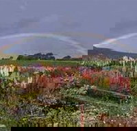 Boat Harbour Garden Cottages - Sunshine Coast Tourism