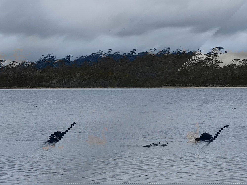  Holiday Sunshine Coast