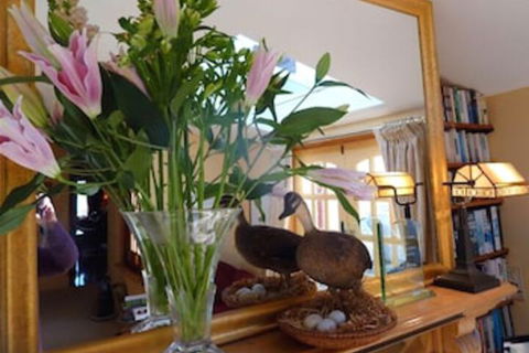 The Duck House - Holiday Sunshine Coast 3