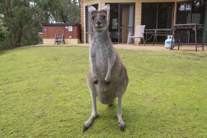 Metricup WA Sunshine Coast Tourism