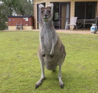 Yelverton Brook Conservation Sanctuary - Sunshine Coast Tourism