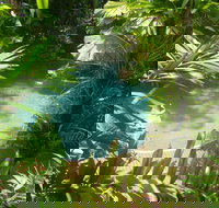 Palm Cove Tropic Apartments