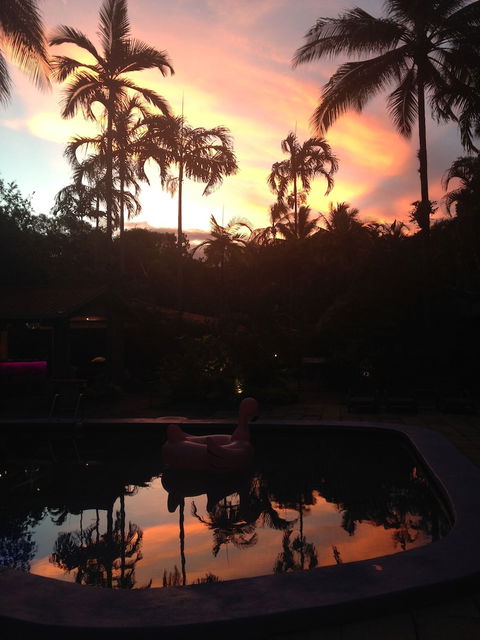 Pink Flamingo Resort - Sunshine Coast Tourism 6