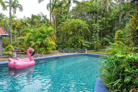 Pink Flamingo Resort - Sunshine Coast Tourism 5