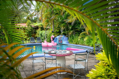Pink Flamingo Resort - Sunshine Coast Tourism 1