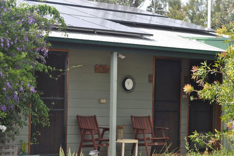 The Fig Tree B & B - Sunshine Coast Tourism 5