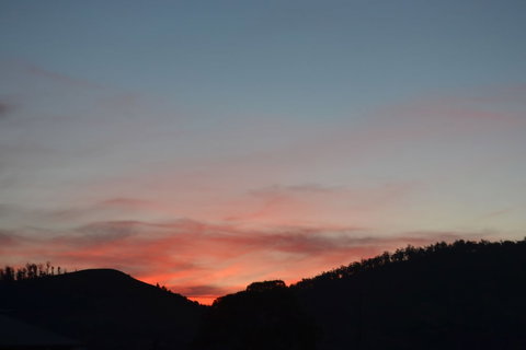 Mulberry Cottage B&B - Holiday Sunshine Coast 0