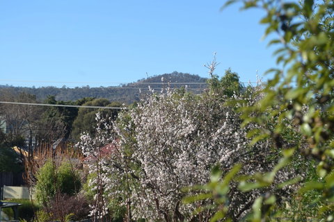 Mulberry Cottage B&B - Holiday Sunshine Coast 5