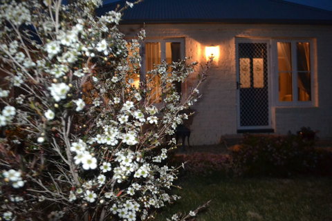 Mulberry Cottage B&B - Holiday Sunshine Coast 6