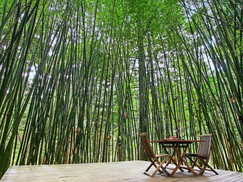 Azabu Boutique Accommodation Byron Bay - Holiday Sunshine Coast 0